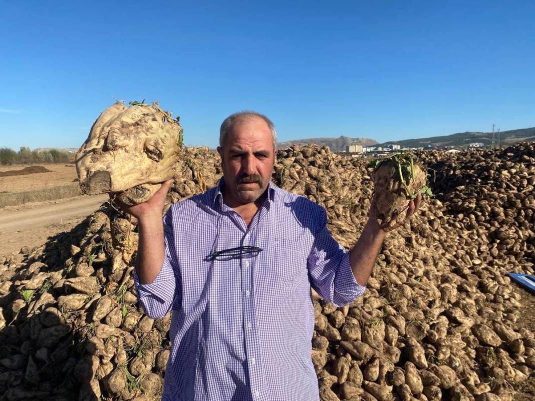 Tarlasına ektiği sebzelerin son halini görünce aklı durdu! Mutfak tüpüyle yan yana koyup kıyasladı, görüntüler şaşırttı 4